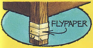 Flypaper will do as well at catching ants as flies if you wrap it around the bottom of a table leg.